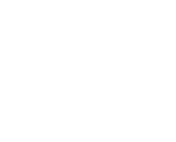 LS Treinamentos Logo